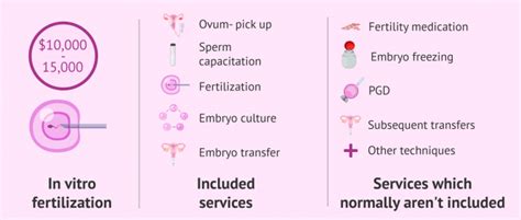 ivf in america.